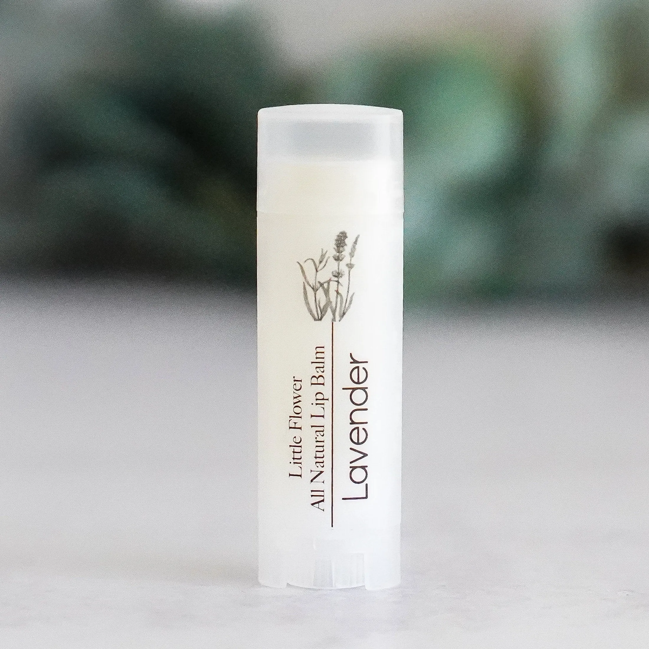 Chocolate Lip Balm