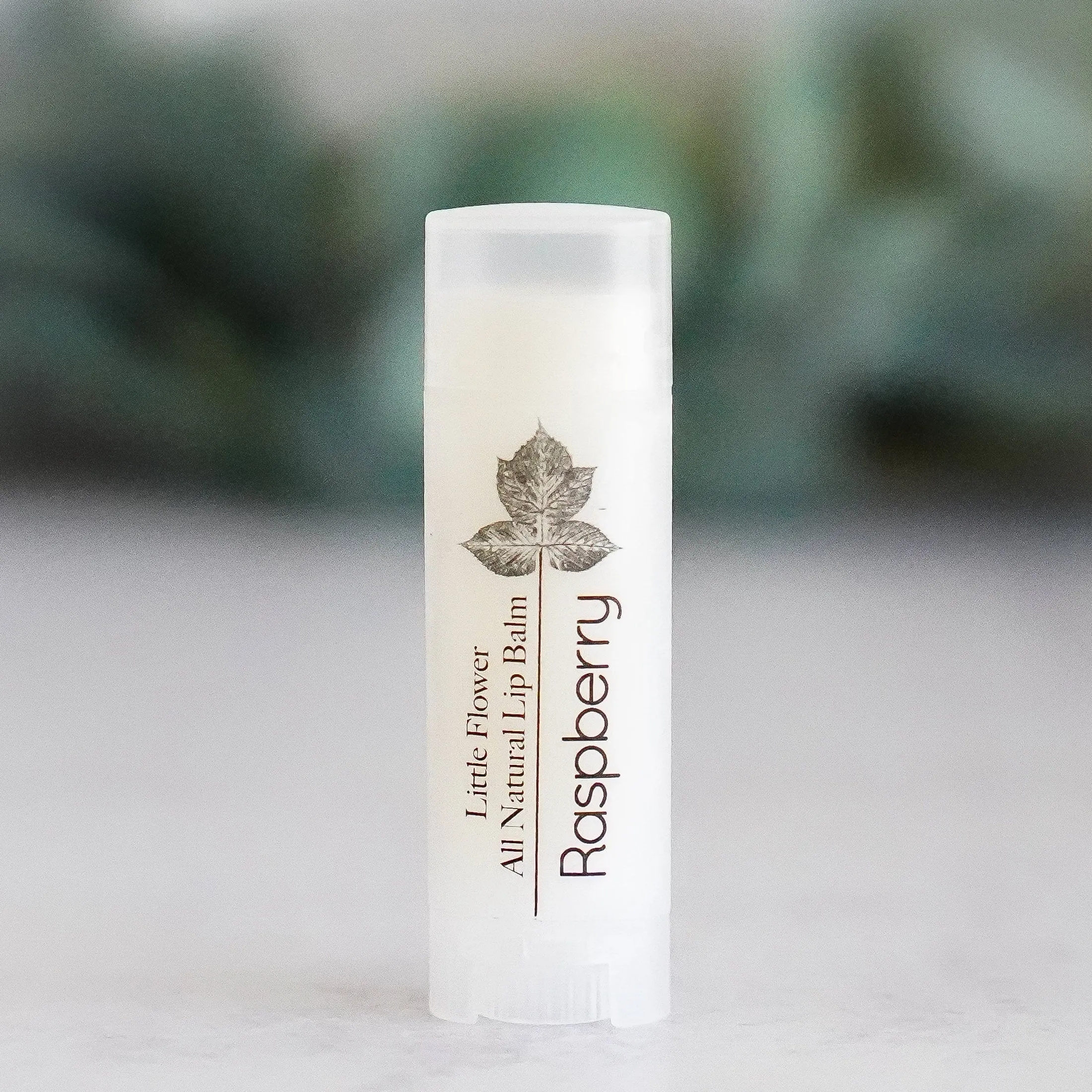 Chocolate Lip Balm