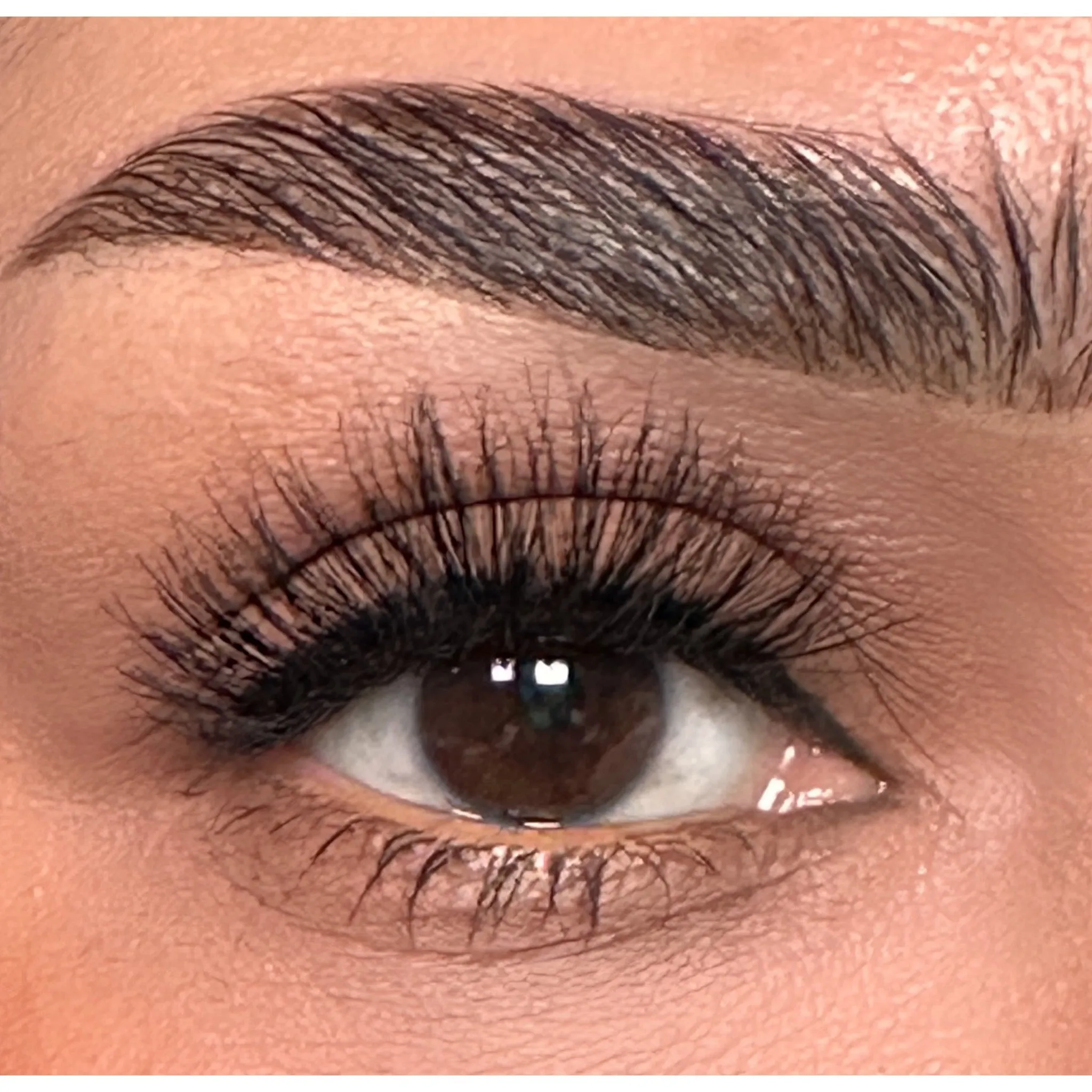 Moxie Lash